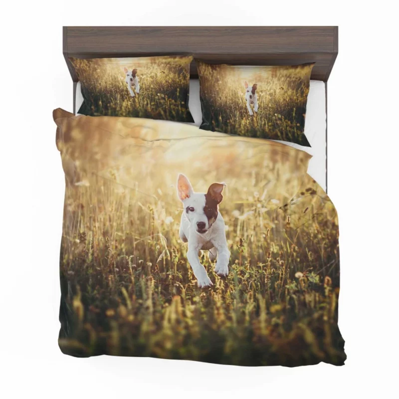 Dog Sunny Rest Canine Tranquility Bedding Set 1