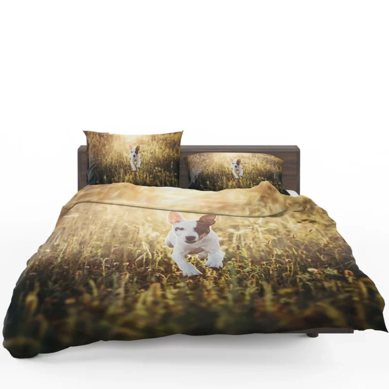 Dog Sunny Rest Canine Tranquility Bedding Set