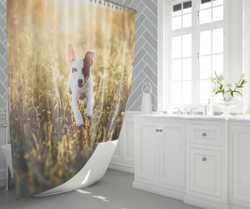 Dog Sunny Rest Canine Tranquility Shower Curtain 1