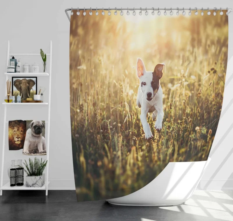 Dog Sunny Rest Canine Tranquility Shower Curtain