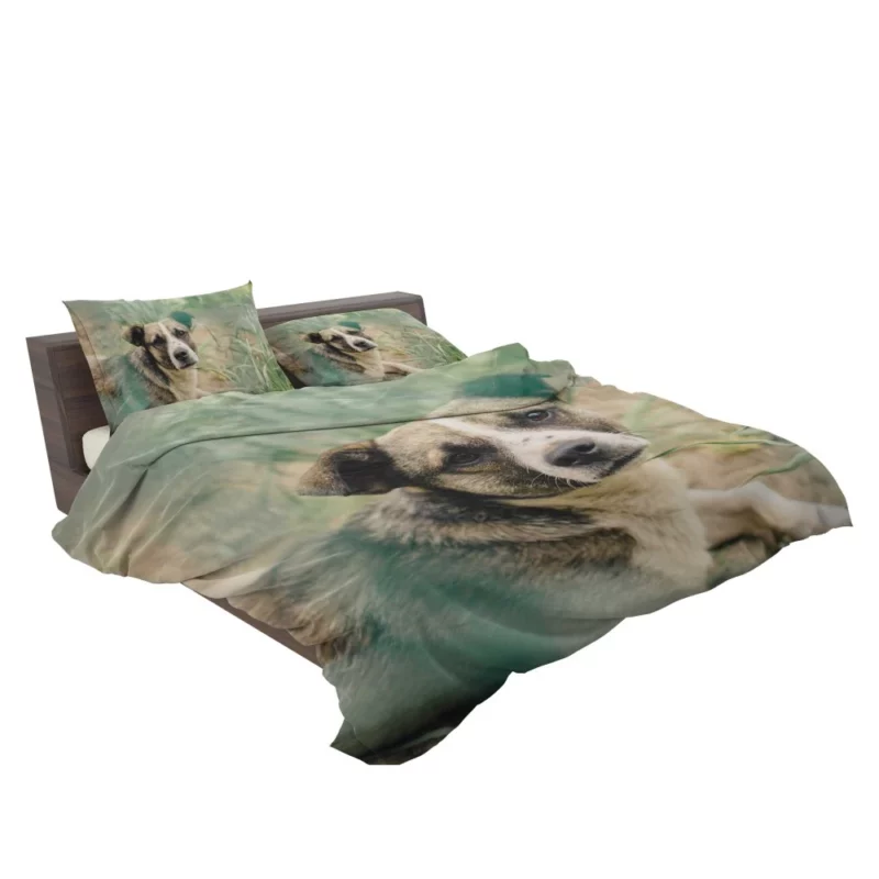 Dog Thoughtful Gaze Canine Contemplation Bedding Set 2