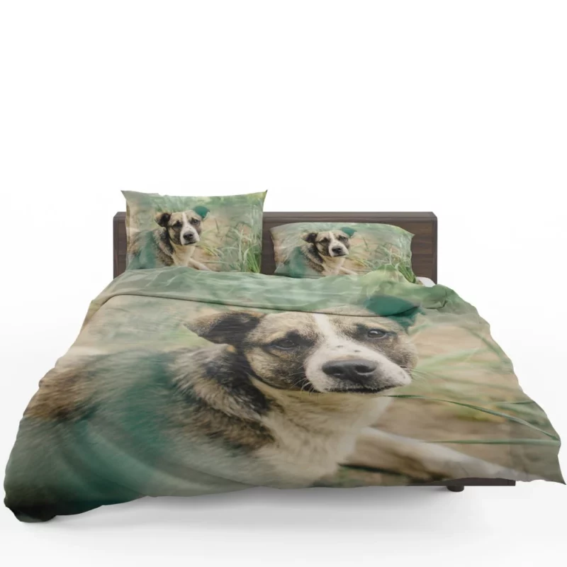 Dog Thoughtful Gaze Canine Contemplation Bedding Set