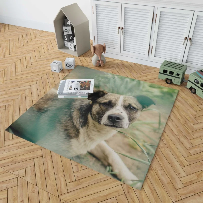 Dog Thoughtful Gaze Canine Contemplation Rug 1