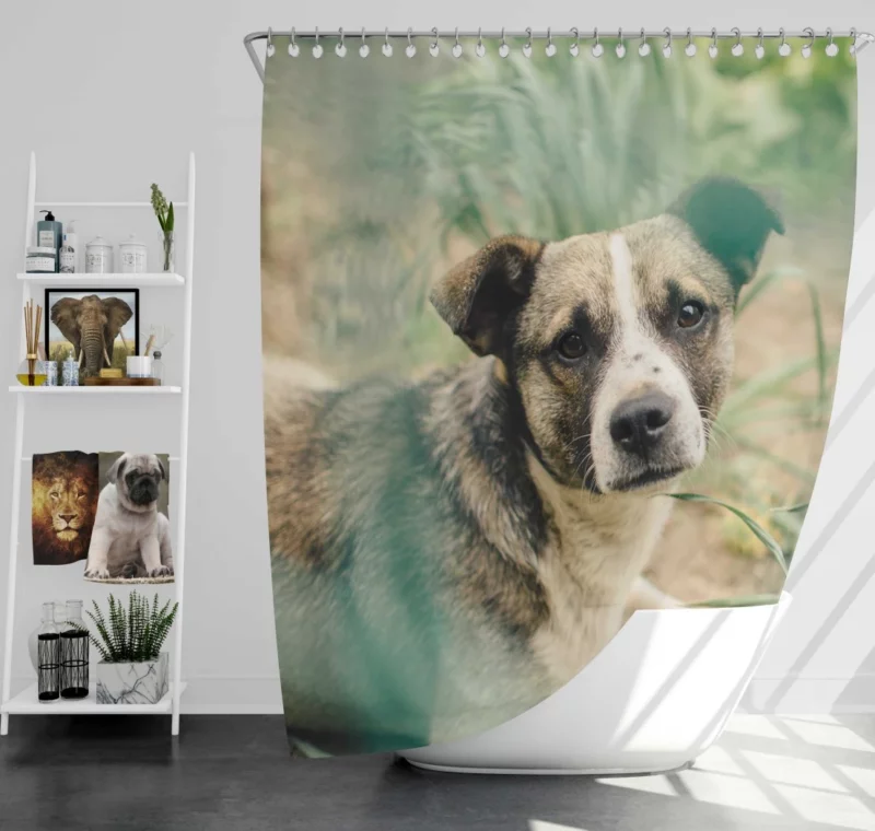 Dog Thoughtful Gaze Canine Contemplation Shower Curtain