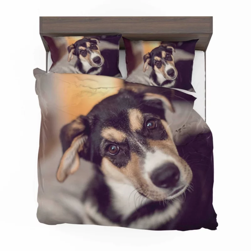 Dog Thoughtful Muzzle Canine Persona Bedding Set 1