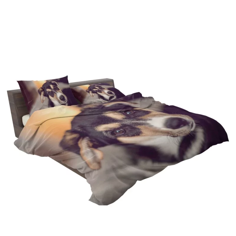 Dog Thoughtful Muzzle Canine Persona Bedding Set 2