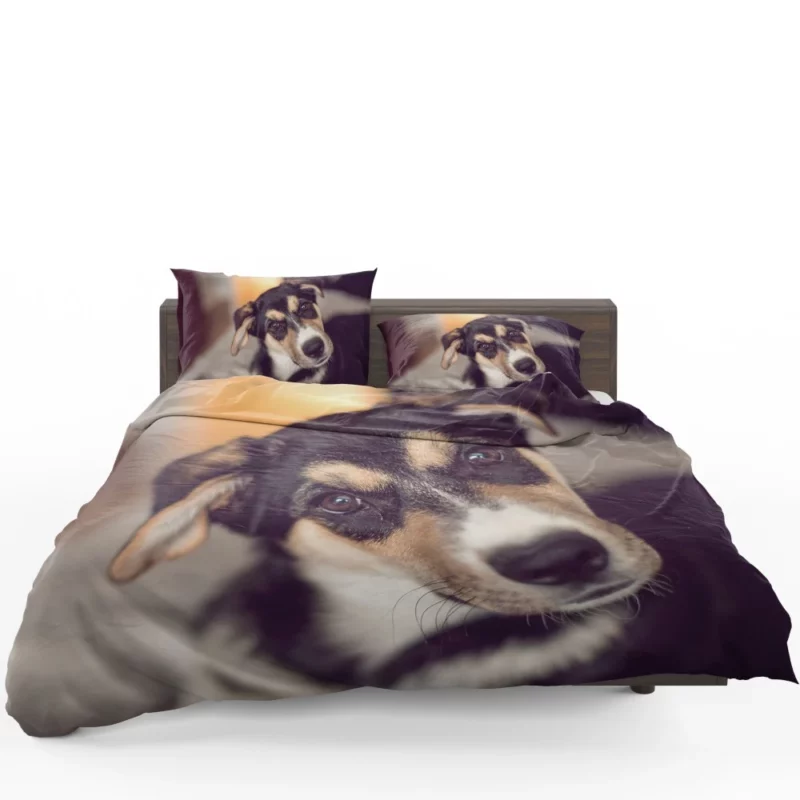 Dog Thoughtful Muzzle Canine Persona Bedding Set