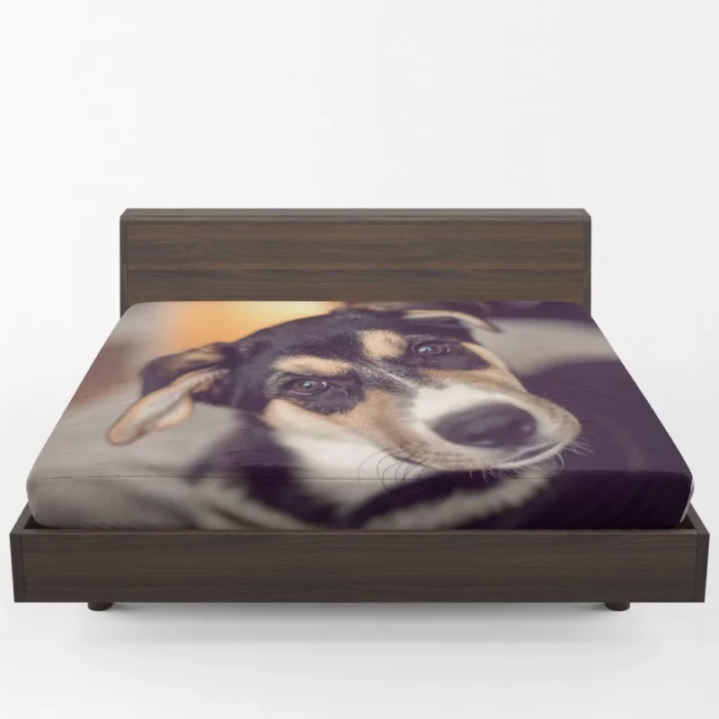 Dog Thoughtful Muzzle Canine Persona Fitted Sheet