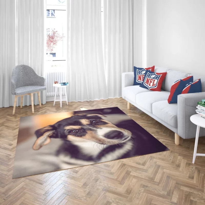 Dog Thoughtful Muzzle Canine Persona Rug 2