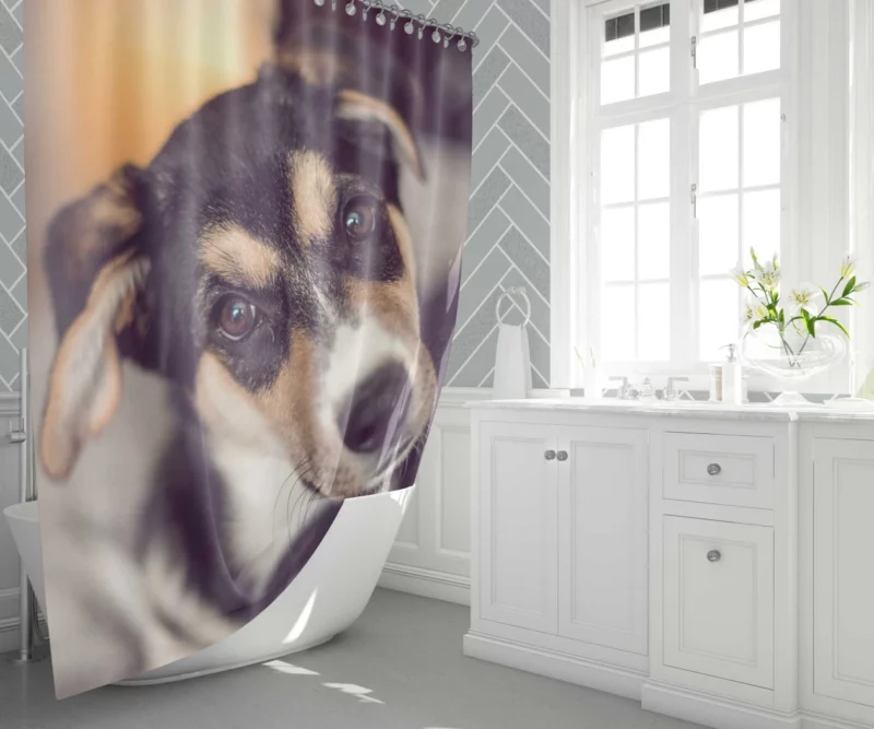 Dog Thoughtful Muzzle Canine Persona Shower Curtain 1