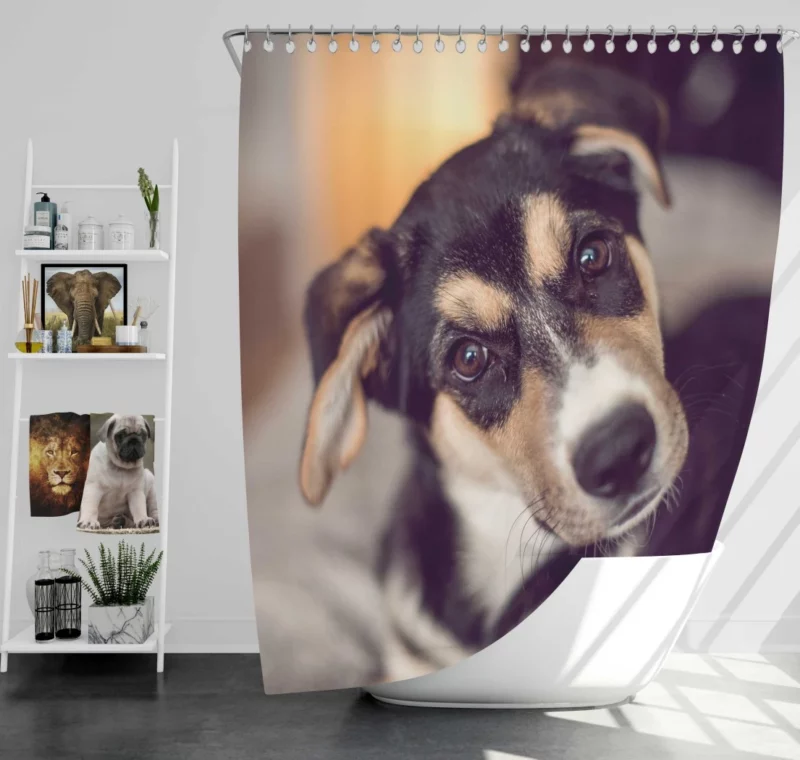 Dog Thoughtful Muzzle Canine Persona Shower Curtain