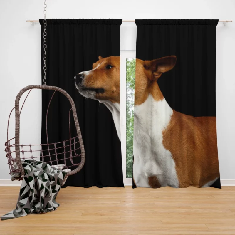 Dog Thoughtful Stare Canine Contemplation Curtain