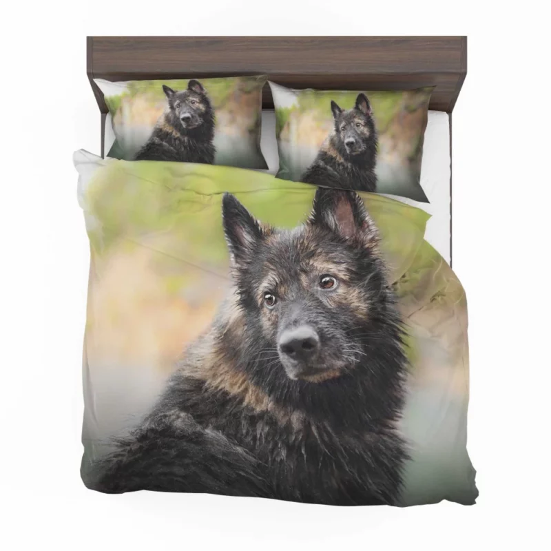 Dog Thoughtful Stare Canine Reflections Bedding Set 1