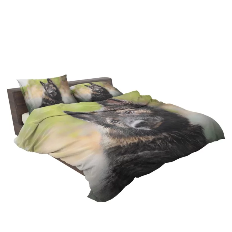 Dog Thoughtful Stare Canine Reflections Bedding Set 2