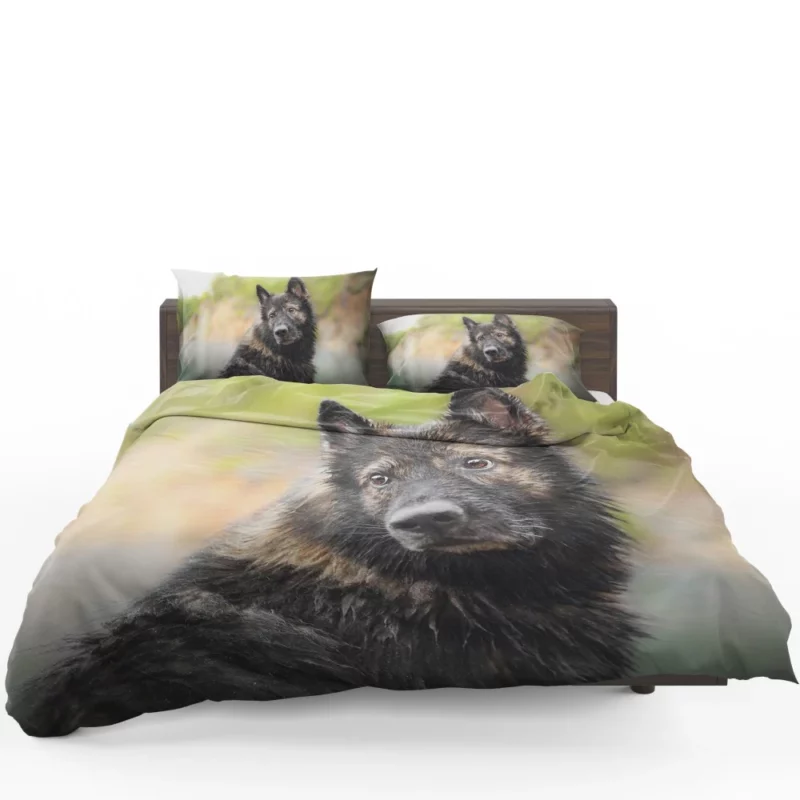 Dog Thoughtful Stare Canine Reflections Bedding Set