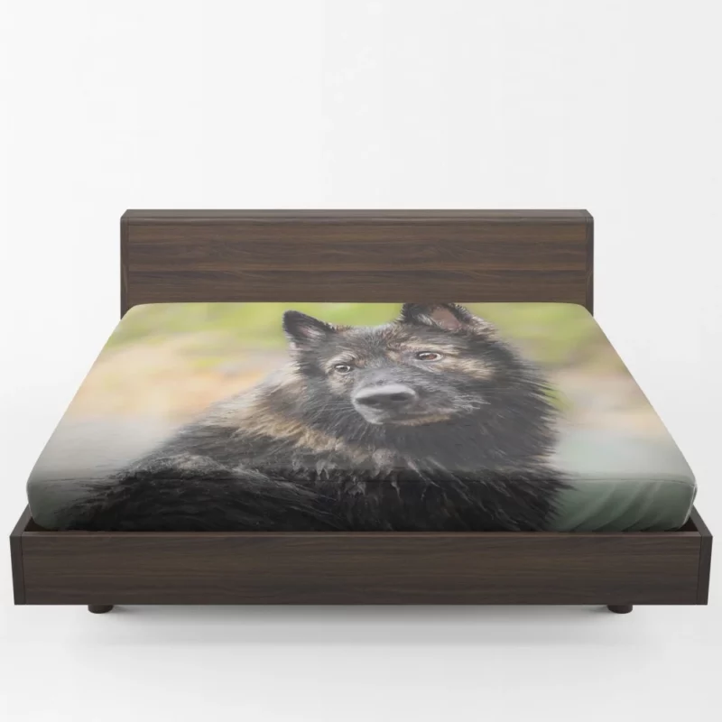 Dog Thoughtful Stare Canine Reflections Fitted Sheet