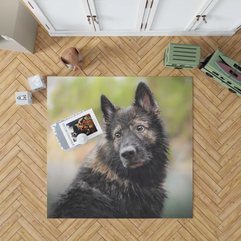 Dog Thoughtful Stare Canine Reflections Rug