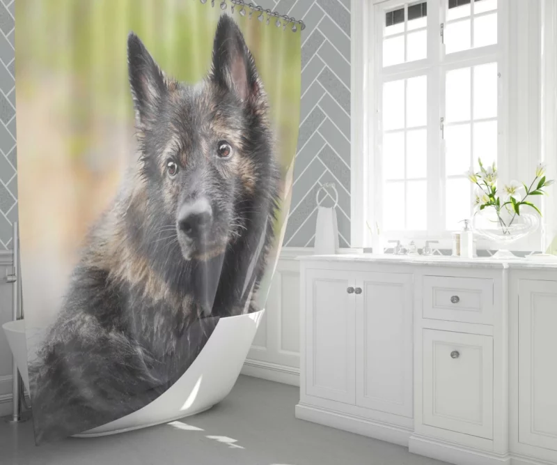 Dog Thoughtful Stare Canine Reflections Shower Curtain 1