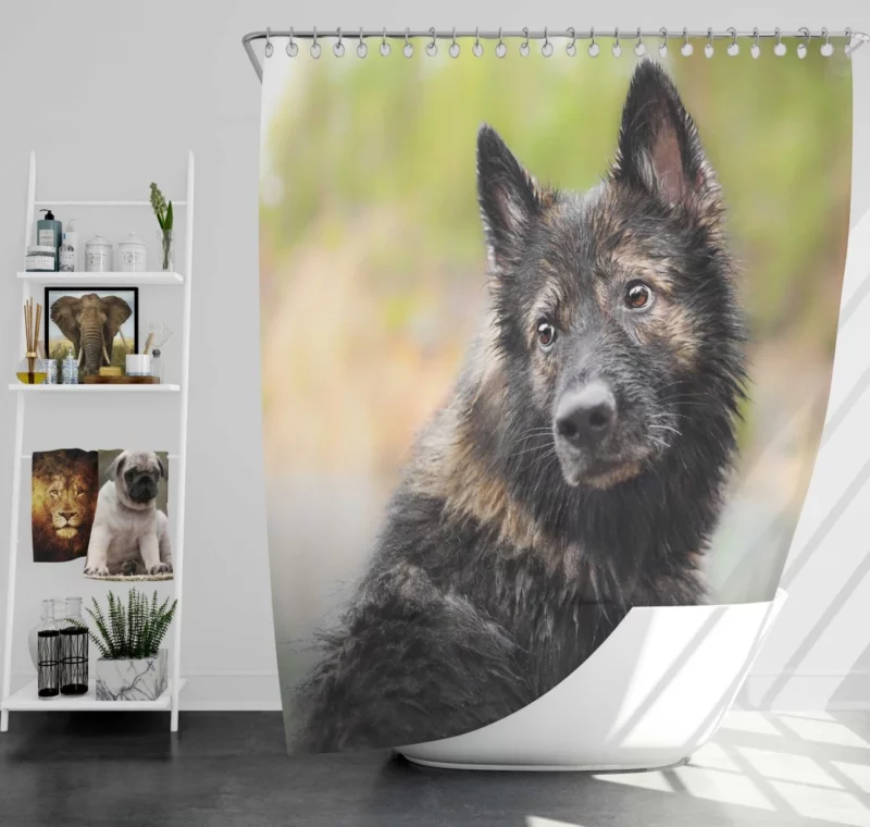 Dog Thoughtful Stare Canine Reflections Shower Curtain