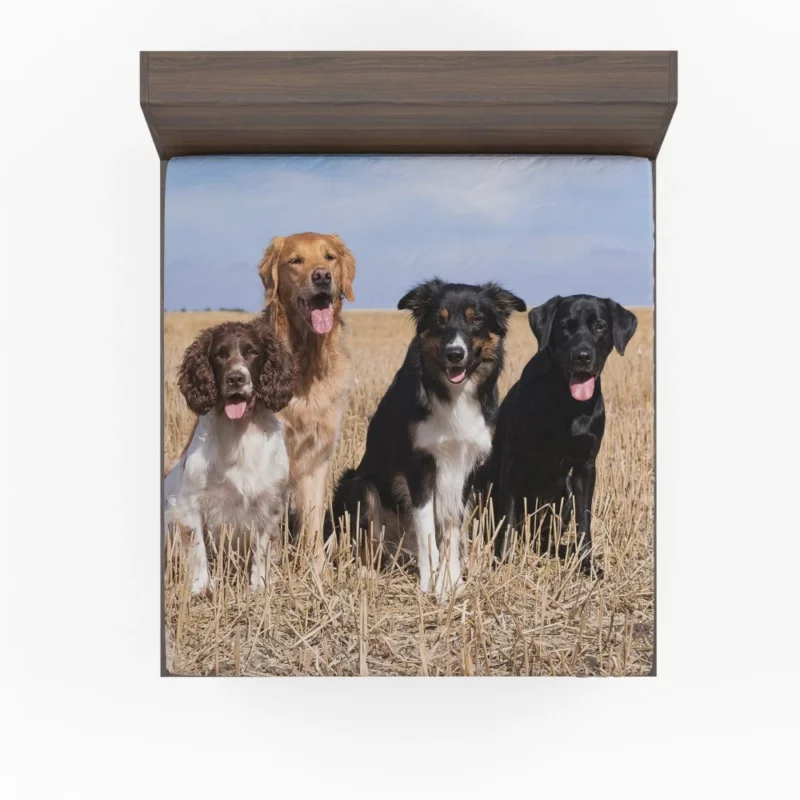 Dog Trio Labrador Collie Spaniel Fitted Sheet 1