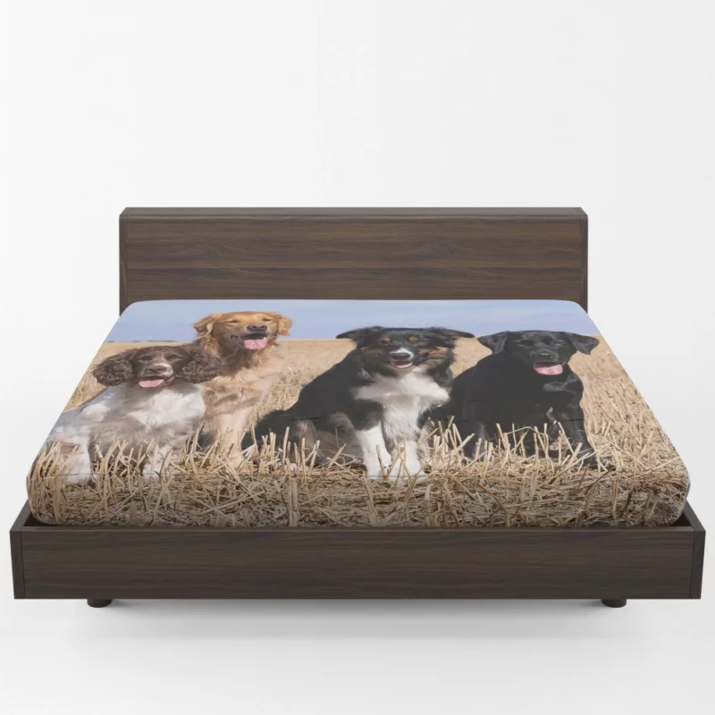 Dog Trio Labrador Collie Spaniel Fitted Sheet