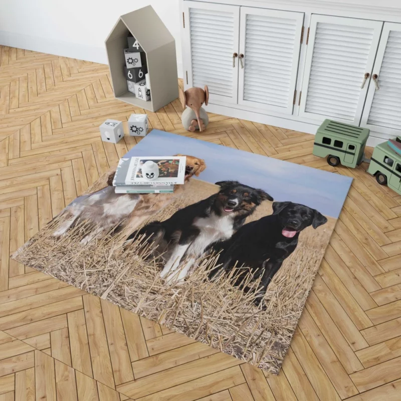 Dog Trio Labrador Collie Spaniel Rug 1