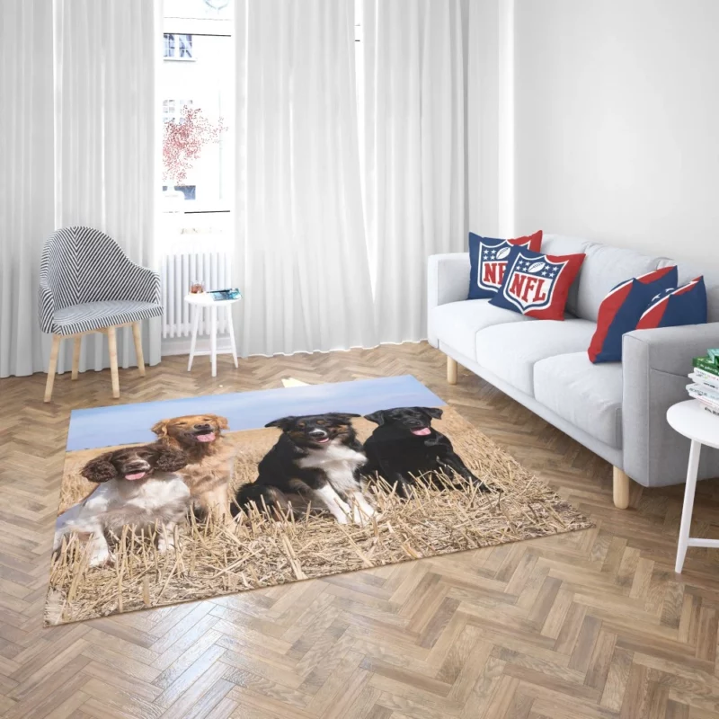 Dog Trio Labrador Collie Spaniel Rug 2