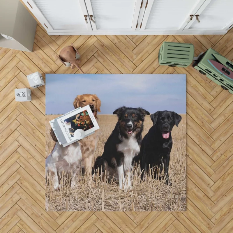 Dog Trio Labrador Collie Spaniel Rug