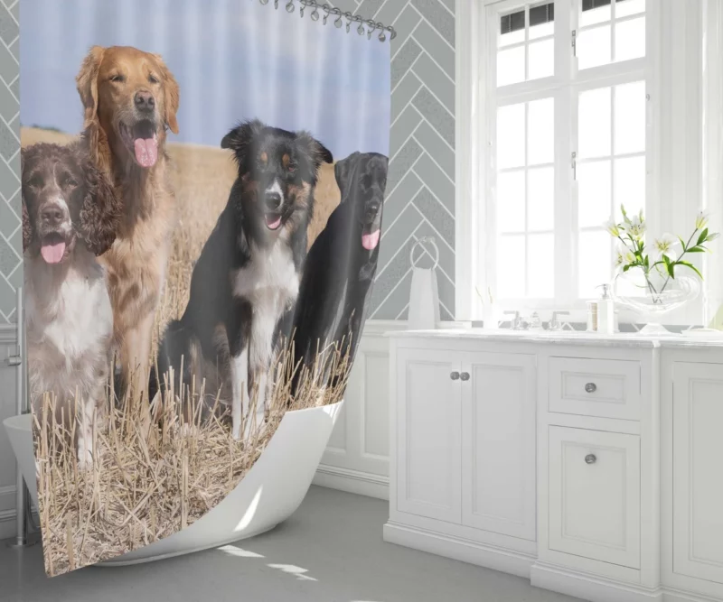 Dog Trio Labrador Collie Spaniel Shower Curtain 1