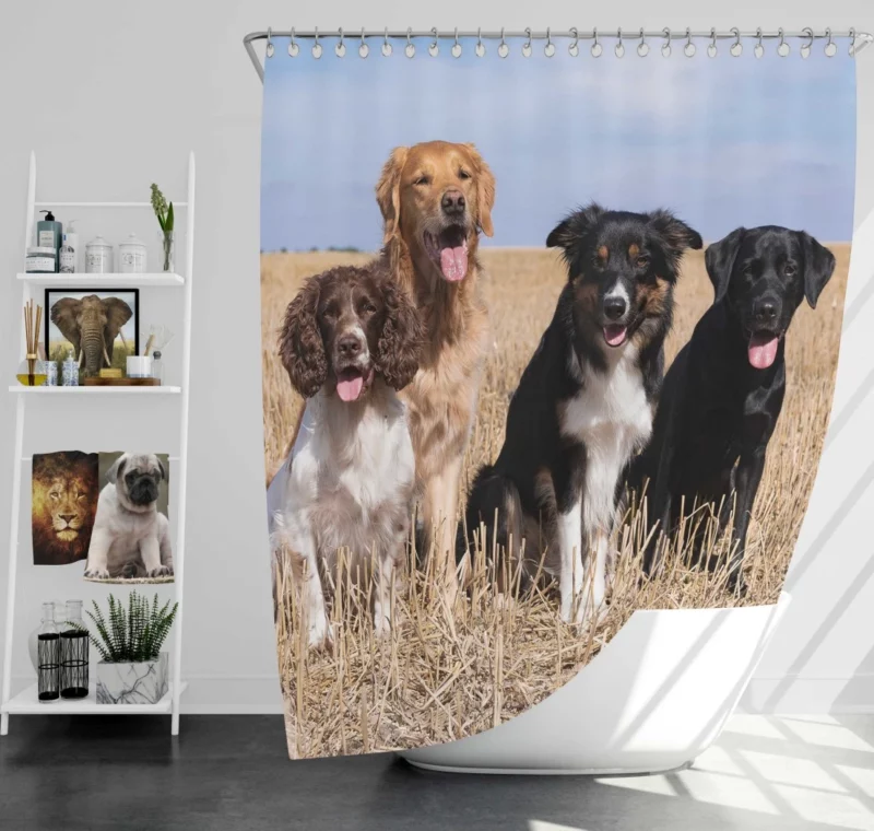 Dog Trio Labrador Collie Spaniel Shower Curtain