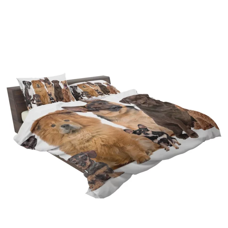 Dog Variety Fur Friends Galore Bedding Set 2