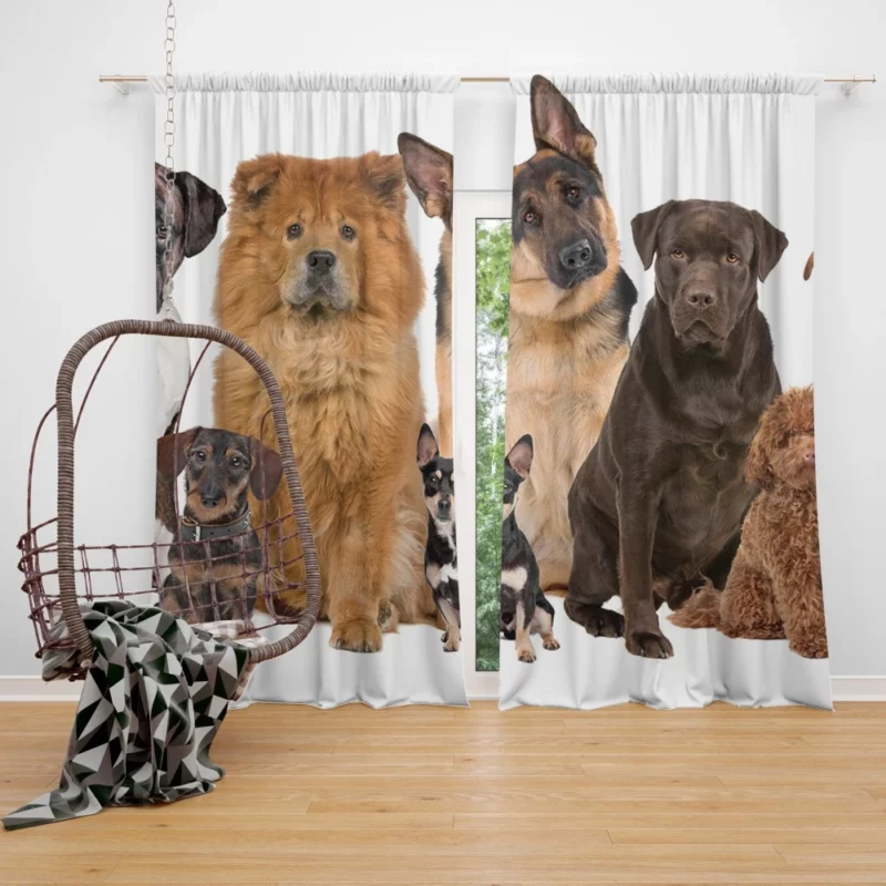 Dog Variety Fur Friends Galore Curtain