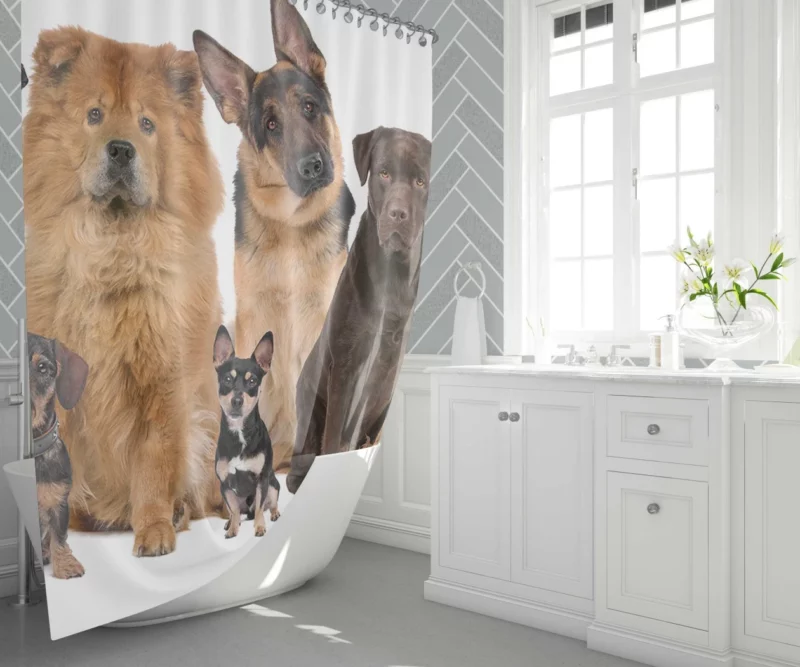 Dog Variety Fur Friends Galore Shower Curtain 1