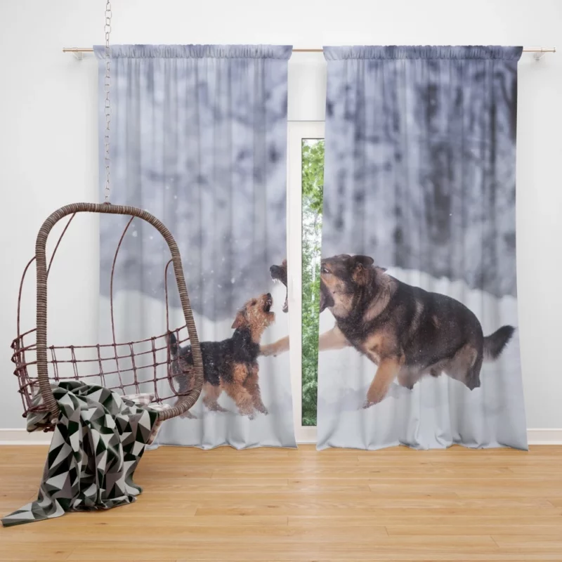 Dog Winter Play Joyful Interaction Curtain