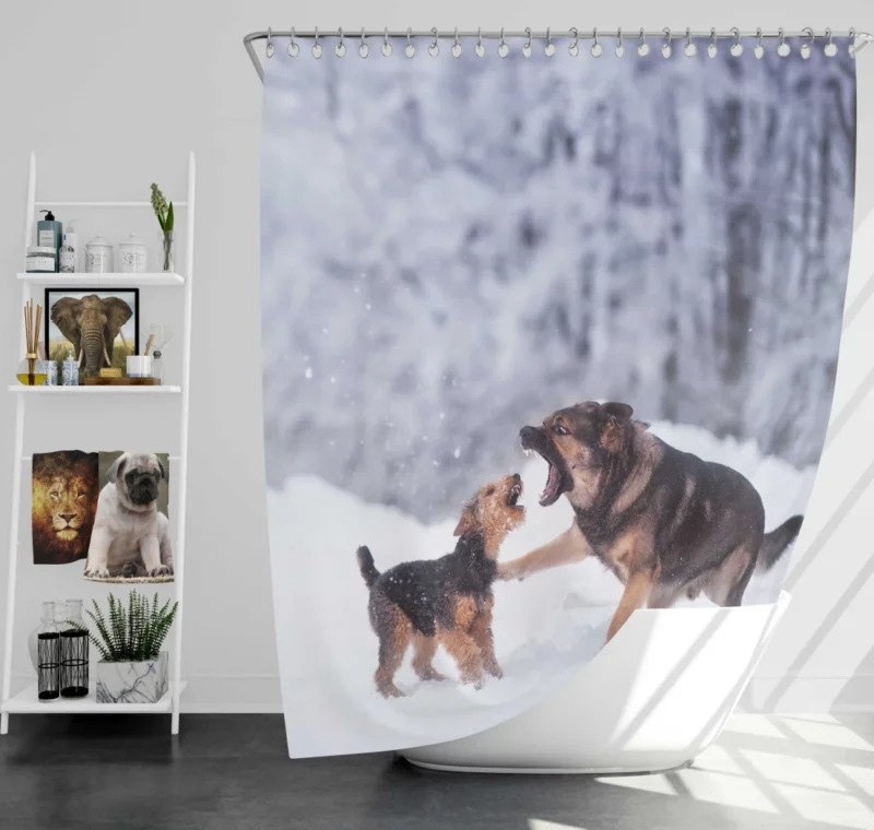 Dog Winter Play Joyful Interaction Shower Curtain