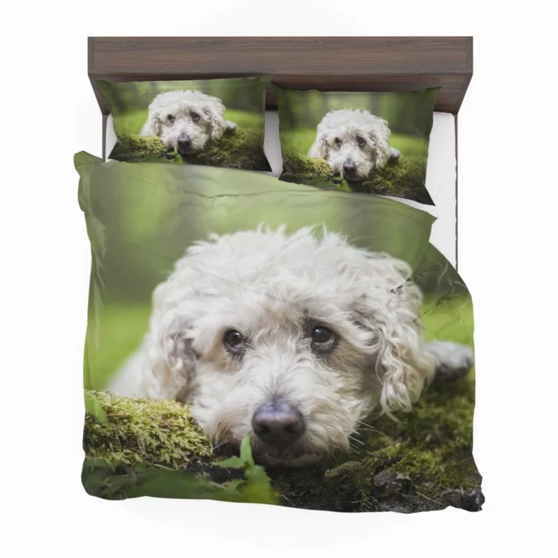 Dog Winter Stance Nature Beauty Bedding Set 1