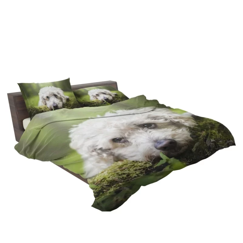 Dog Winter Stance Nature Beauty Bedding Set 2