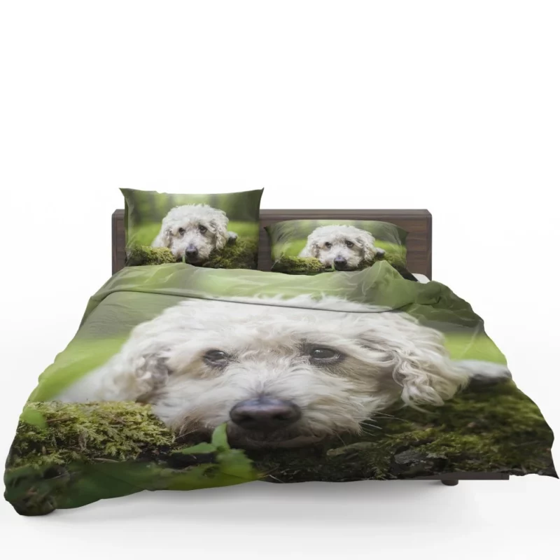 Dog Winter Stance Nature Beauty Bedding Set