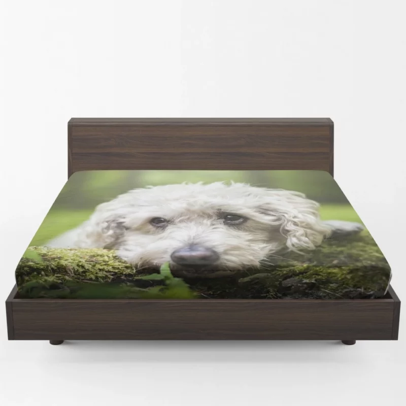 Dog Winter Stance Nature Beauty Fitted Sheet