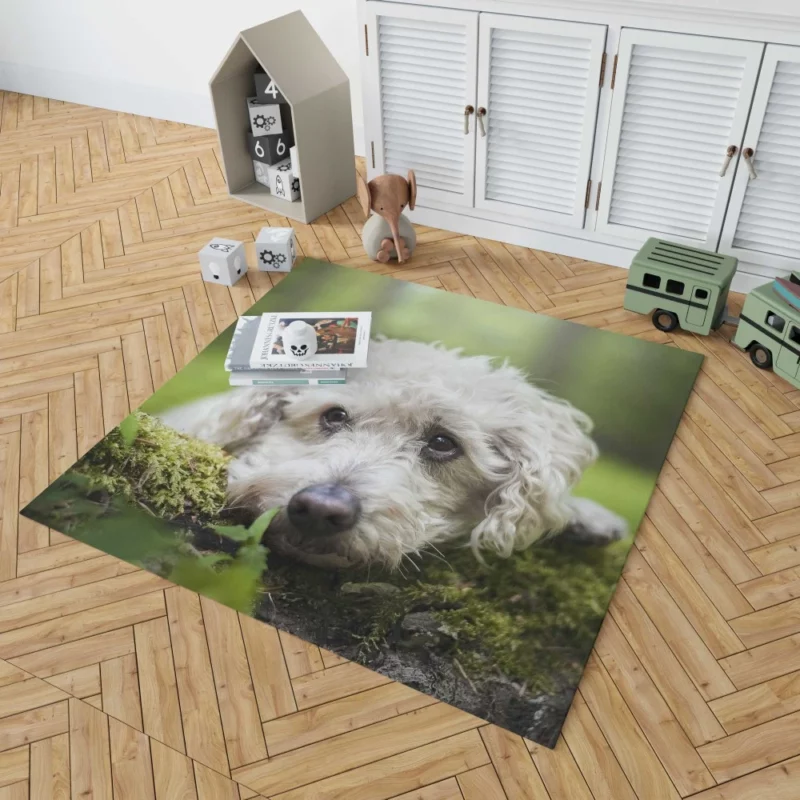 Dog Winter Stance Nature Beauty Rug 1