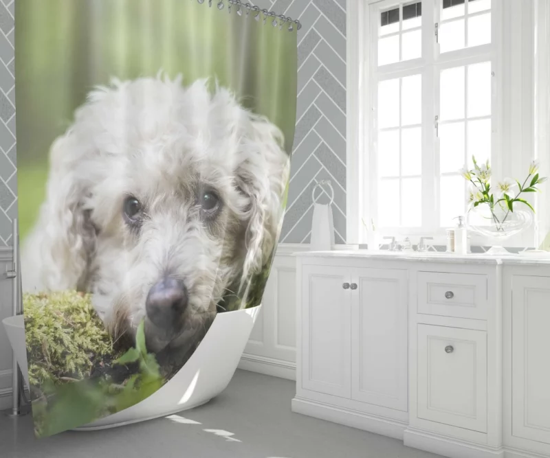 Dog Winter Stance Nature Beauty Shower Curtain 1