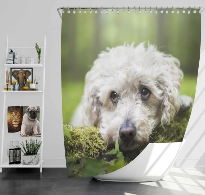 Dog Winter Stance Nature Beauty Shower Curtain