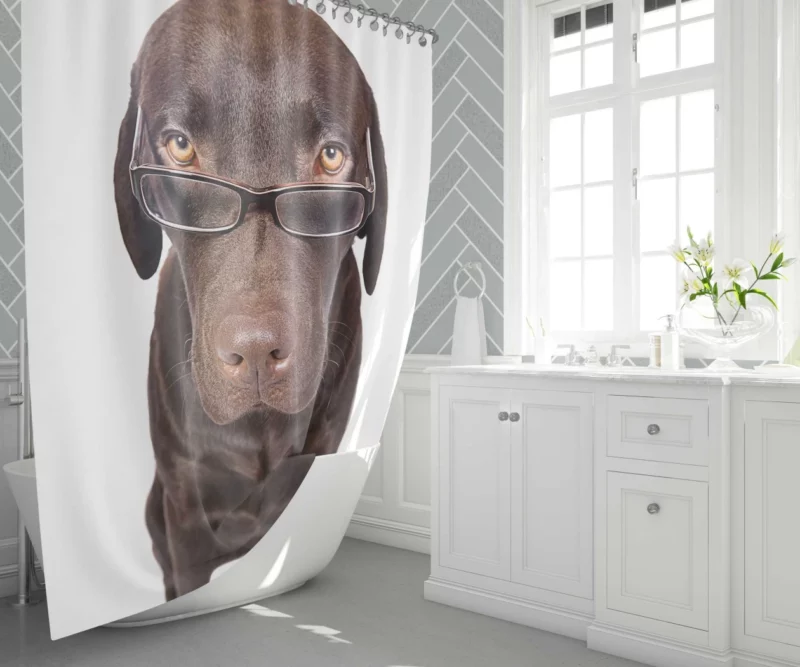 Dog in Glasses Funny and Cute Shower Curtain 1