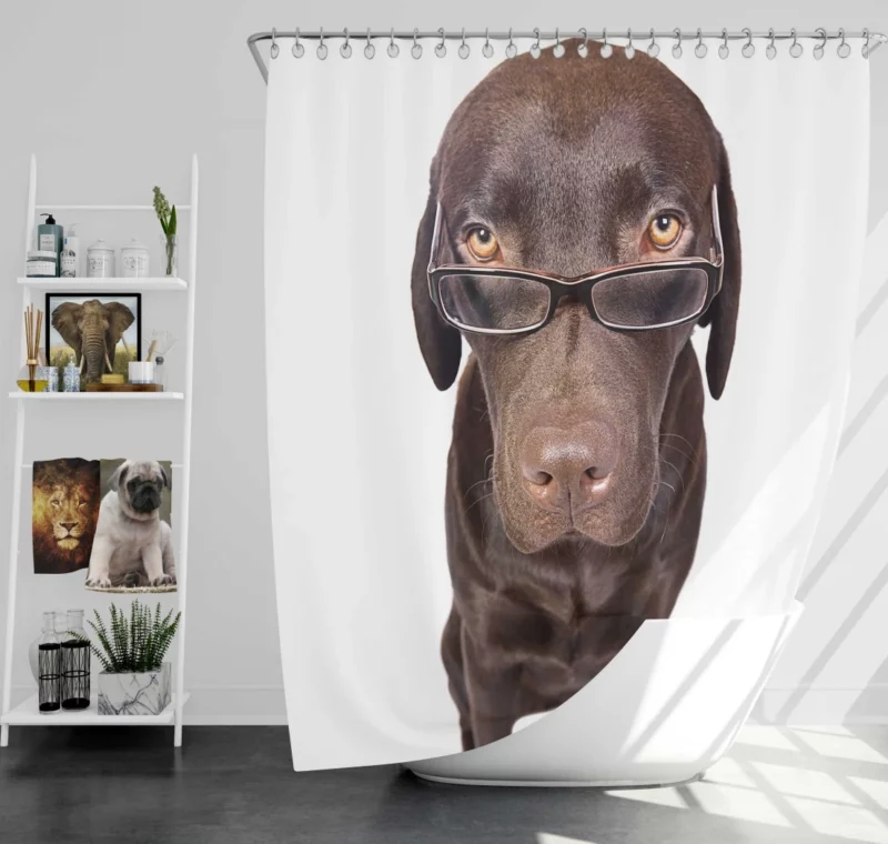 Dog in Glasses Funny and Cute Shower Curtain