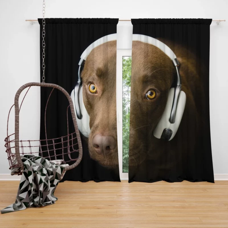 Dog with Headphones Musical Pooch Curtain