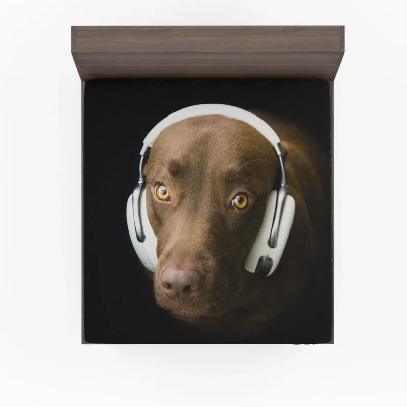 Dog with Headphones Musical Pooch Fitted Sheet 1