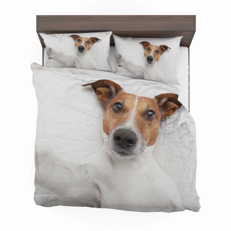 Dogs Capture Selfies Canine Humor Bedding Set 1