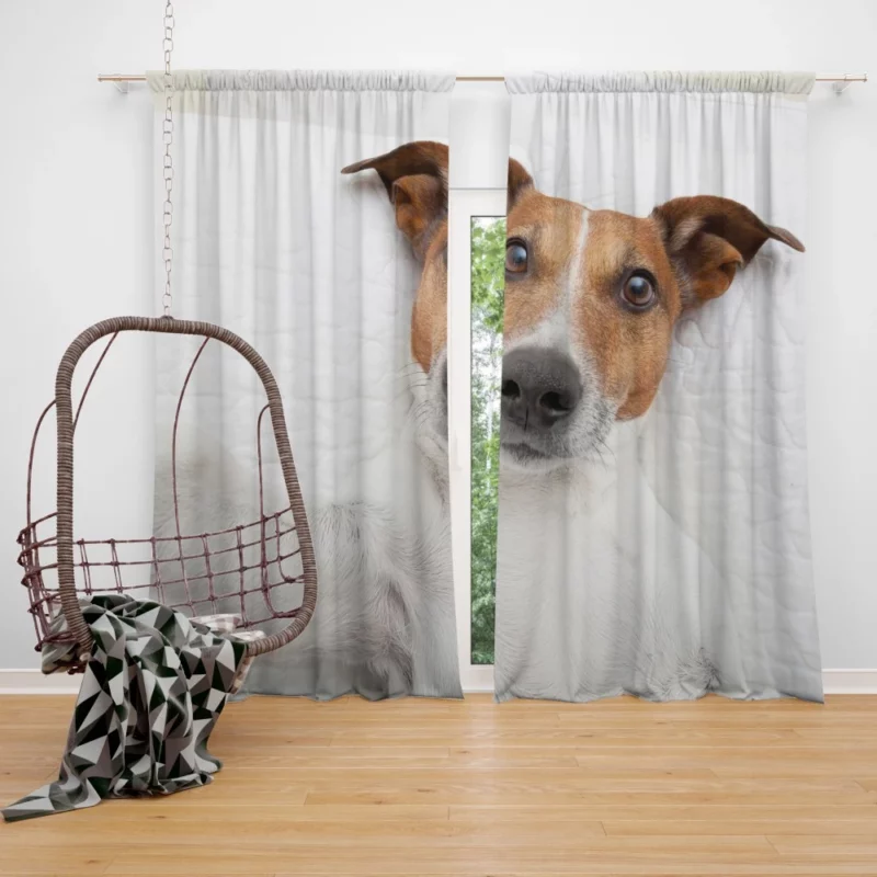 Dogs Capture Selfies Canine Humor Curtain