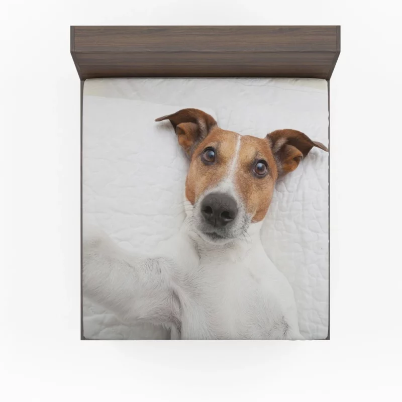 Dogs Capture Selfies Canine Humor Fitted Sheet 1