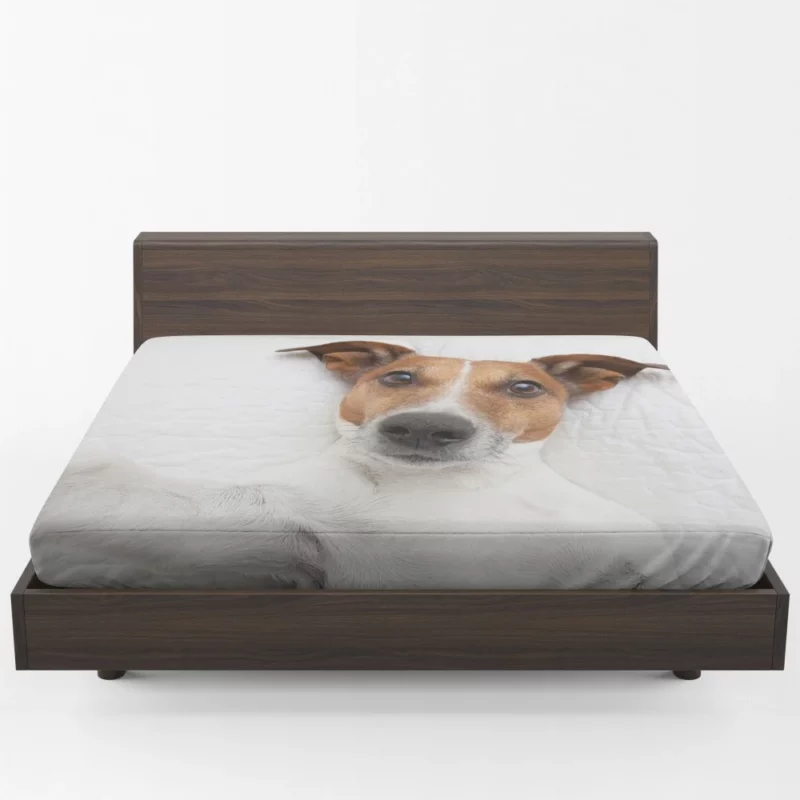 Dogs Capture Selfies Canine Humor Fitted Sheet